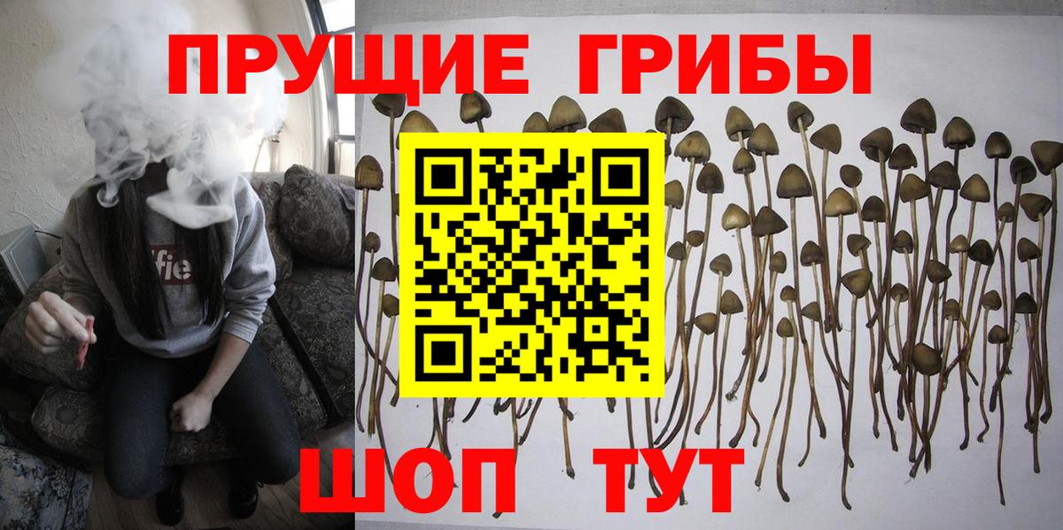 Галлюциногенные грибы прущие грибы  Вход с VPN  Каменск-Шахтинский 